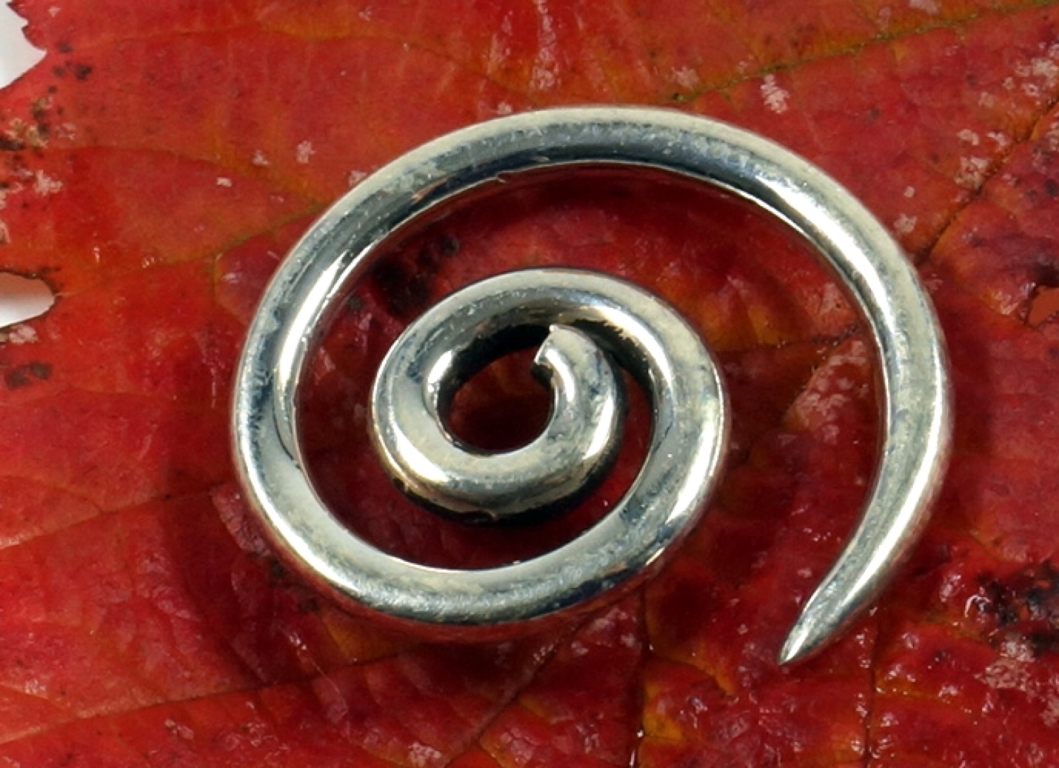 Earring spiral 2 cm stretch spiral piercing spiralï¿œ 2 cm cm